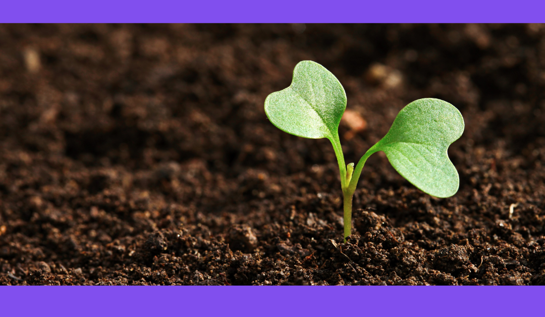 10 Ways to Evaluate a Small Publisher Effectively